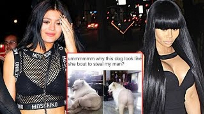 Tygas Ex, Blac Chyna Calls Kylie Jenner A DOG ???