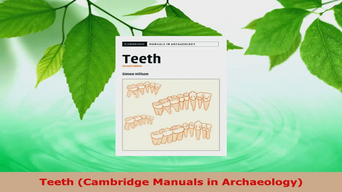 PDF Download  Teeth Cambridge Manuals in Archaeology PDF Online