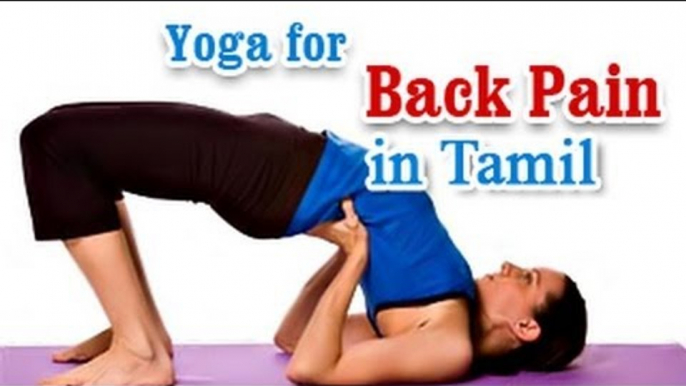 Yoga for Back Pain - Heal Back and Neck Pain Treatment in Tamil