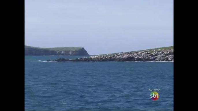 Lama da barragem da Samarco pode ter chegado ao arquipélago de Abrolhos