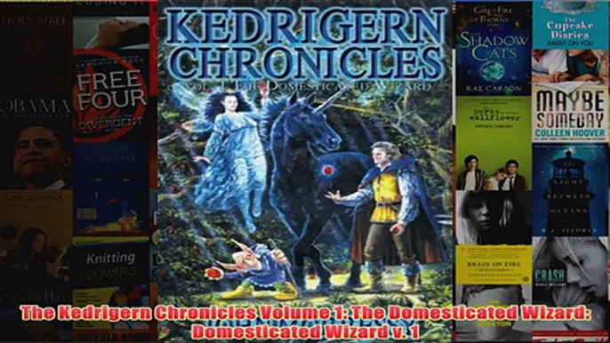 The Kedrigern Chronicles Volume 1 The Domesticated Wizard Domesticated Wizard v 1