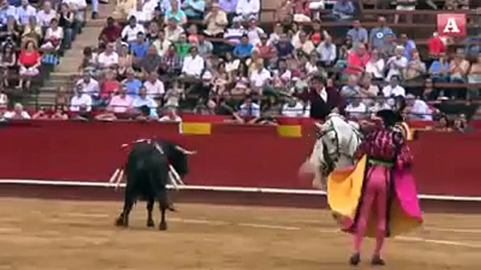 Caballo defiende a un torero de ser corneado gravemente!