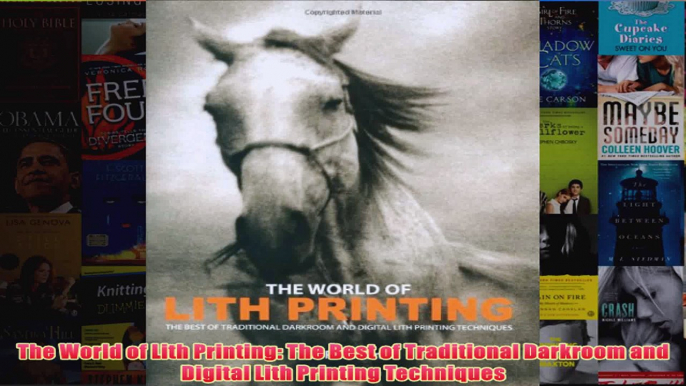 The World of Lith Printing The Best of Traditional Darkroom and Digital Lith Printing