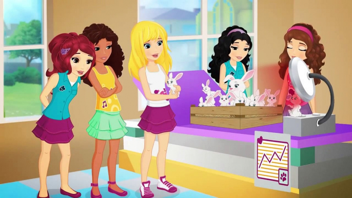 Our Special Day - LEGO® Friends - Season 2 Episode 19