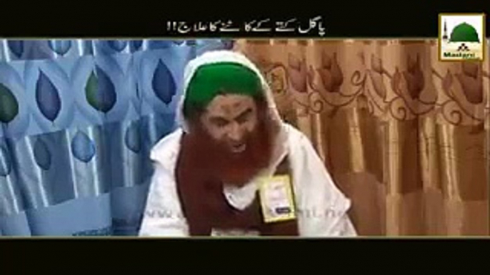 Agar pagal Kutta kat jaye to Doctor ke pass na jayen, Ilyas qadri sahib ke totke Madani Channel