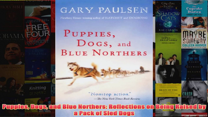 Puppies Dogs and Blue Northers Reflections on Being Raised by a Pack of Sled Dogs