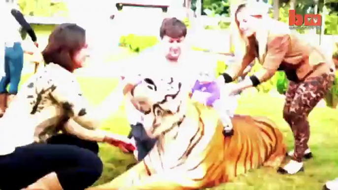 Living With Tigers- Family Share Home With Pet Tigers