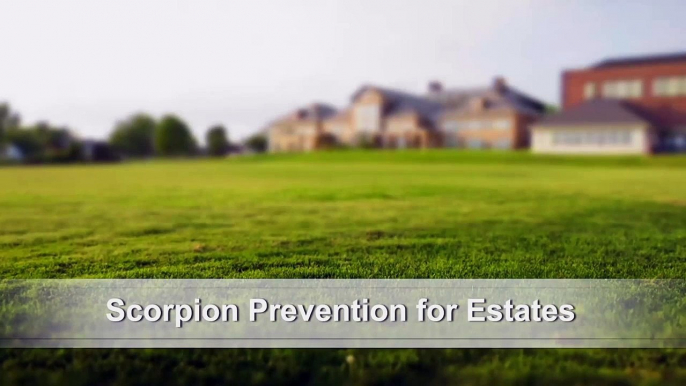 Scorpion Sealing Services for Estates - Seal Out Scorpions, LLC