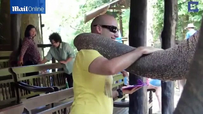 One ele of a hug! Keen elephant wraps its trunk around tourists