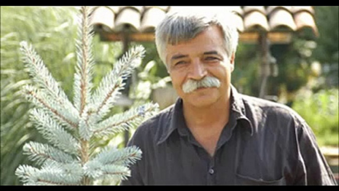 Ozan Arif - Bıktık