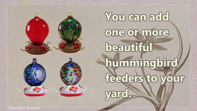 How To Choose The Best Hummingbird Feeders