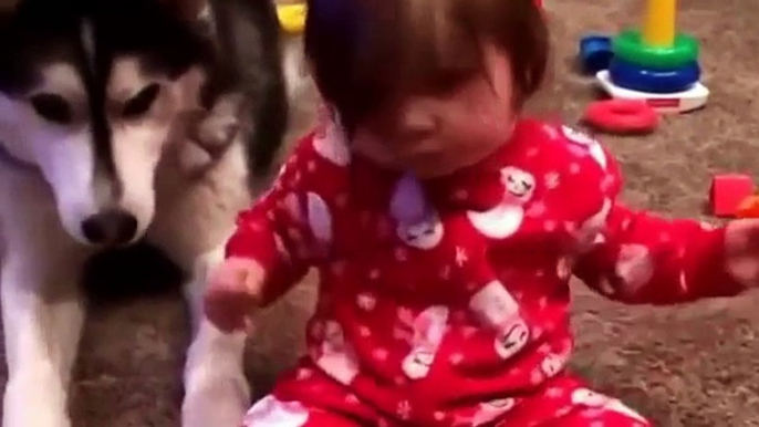 funny baby videos And Animals Cute Babies Videos Compilation 2015