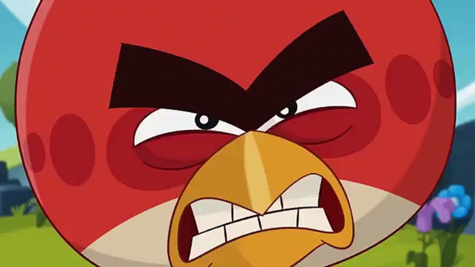 Angry Birds Toons 3 Ep. 12 Sneak Peek - "Happy Hippy” (Comic FULL HD 720P)