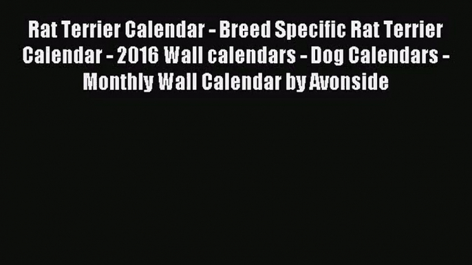 [PDF Download] Rat Terrier Calendar - Breed Specific Rat Terrier Calendar - 2016 Wall calendars