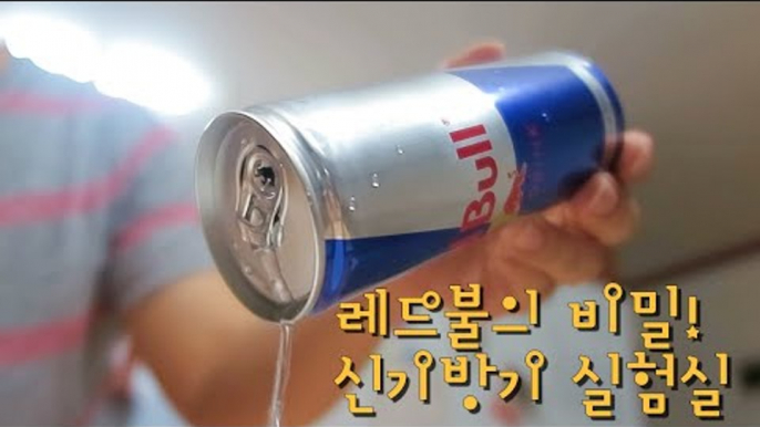 레드불의 비밀 / Red Bull / 신기한 실험 / RMTV 실험실 / 간단 실험 / Red Bull Can trick