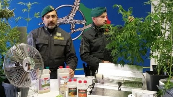 Bari - Marijuana, arrestati un coltivatore e due spacciatori (25.01.15)