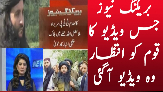 Biggest News About Mullah Fazaullah After Drone Attack | PNPNews.net