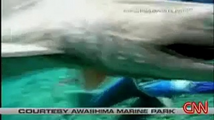 Prehistoric shark captured on film