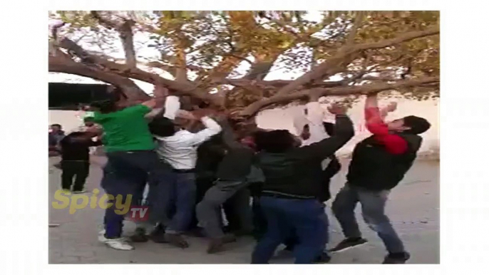 Funniest Accident Videos ¦ Tree Swing Fails ¦ Best of Human Fails ¦ funny video clips[1]