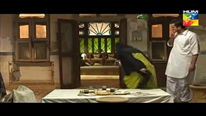 Mann Mayal hamza ali abbasi new drama hum tv episode 1