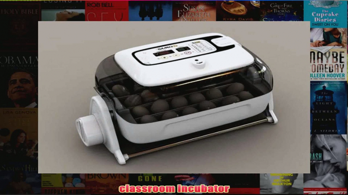 BEST  Digital Egg Incubator Rcom 20 Suro Chicken or Reptile Incubator REVIEW