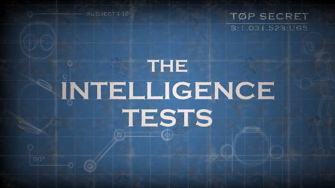 THE INTELLIGENCE TESTS - BATCH 01