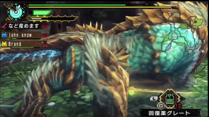 Monster Hunter Portable 3rd Zinogre Jinouga ジンオウガ Longsword PS3 HD