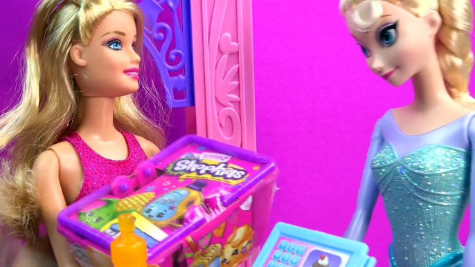 Disney Frozen Queen Elsa Barbie Doll Shopkins Season 2 Malibu Ave Bakery Life in the Dream