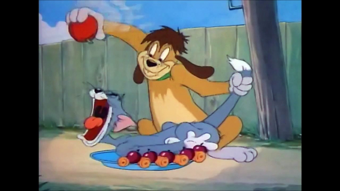 Tom_and_Jerry,_35_Episode_-_The_Truce_Hurts_(1948)