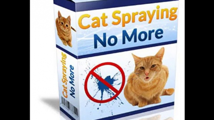 Cat Spraying No More