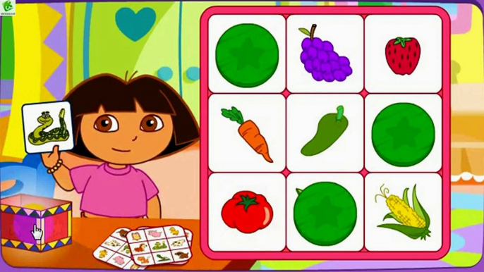 Bingo With Dora Doras say it two way Bingo Dora the explorer baby games for kids