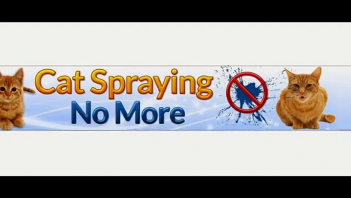 cat spraying no more review