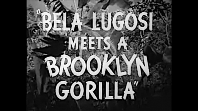 Bela Lugosi Meets a Brooklyn Gorilla part 1