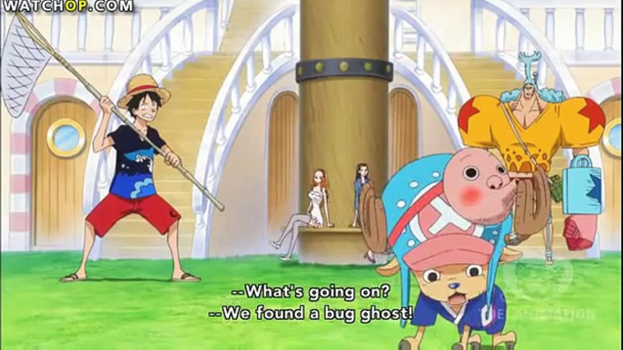 One Piece - Straw Hat Crew meeting Lily