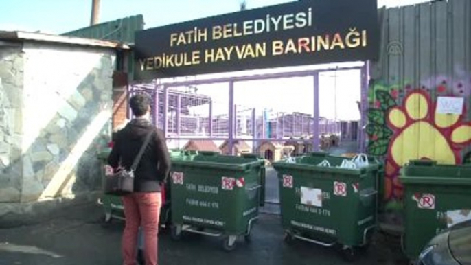 Yedikule Hayvan Barınağı 7. Sevgi Günü"