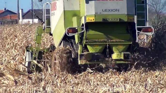 CLAAS lexion 480 à la moisson du maïs grain en 2012