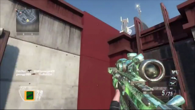 Black Ops 2 | Insane Tomahawk TRICKSHOT!