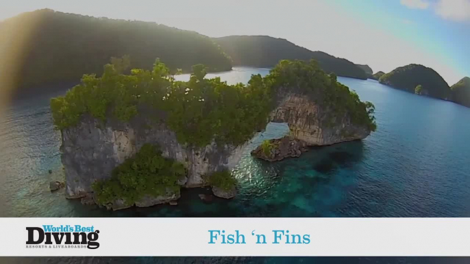 World's Best Diving: Fish 'n Fins/Ocean Hunter I & III