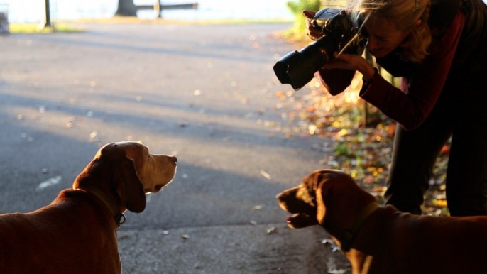 I, Photographer: Diana Haskell's Animal Portraits