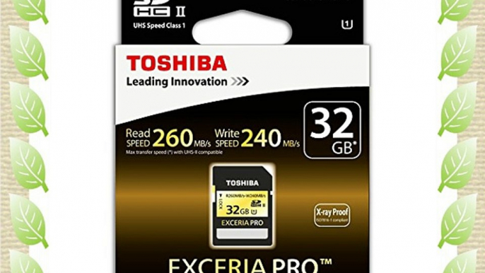 Toshiba SD-XPRO32UHS2 - Tarjeta de memoria de 32 GB