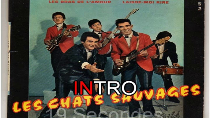 Les Chats Sauvages & Dick Rivers_Sous le ciel écossais (Cliff Richard_When the girl in your arms)(1962) karaoke