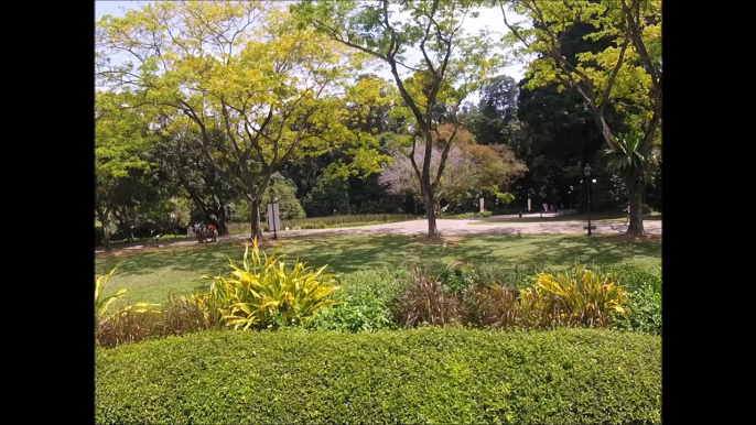 Singapore Botanic Gardens Walking Towards Orchid Garden