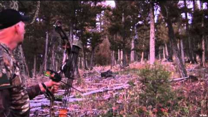 Hunting with HECS - Montana Elk with Rockie Jacobsen