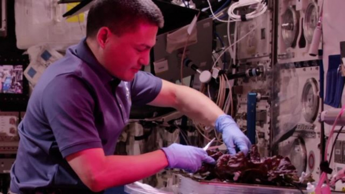 Space Is Hard | How NASA Will Science Its Food and Drink for Interplanetary Travel