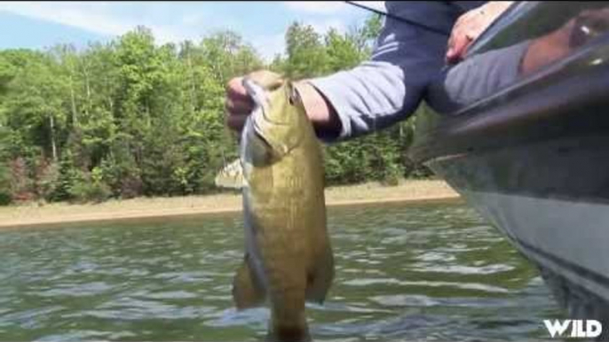 Smallmouth Bass Fishing with Joe Bucher