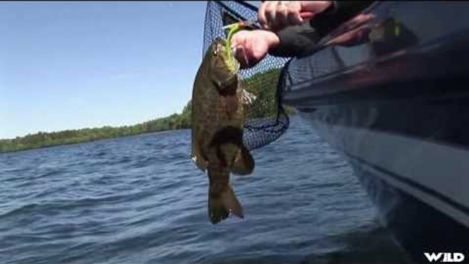 Fishing for Smallmouth Bass in Ontario