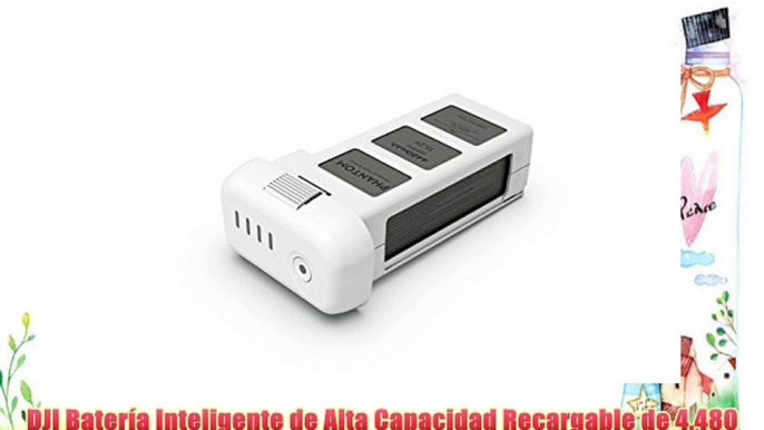 DJI Batería Inteligente de Alta Capacidad Recargable de 4480 mAh Compatible con DJI Phantom