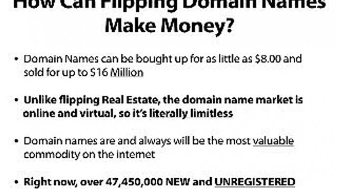 Domainer Elite Make Money Flipping Domain Names