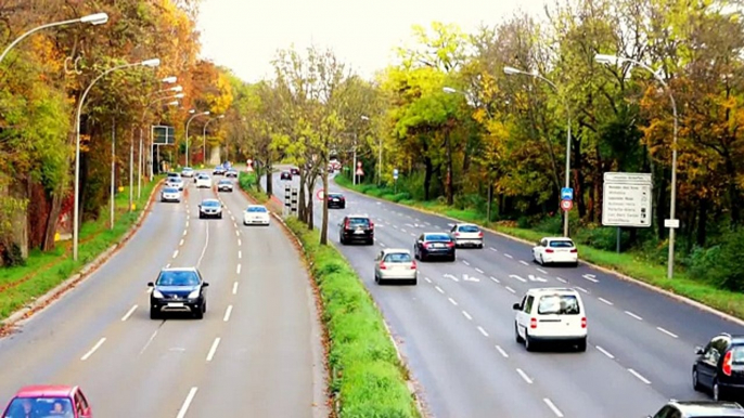 Nice Cars in Germany of Europe