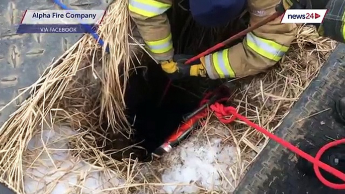 The Alpha Fire Company just returned from this confined space rescue of a dog